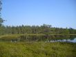 S7007261.JPG