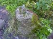 S7006528.JPG