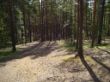 S7006477.JPG